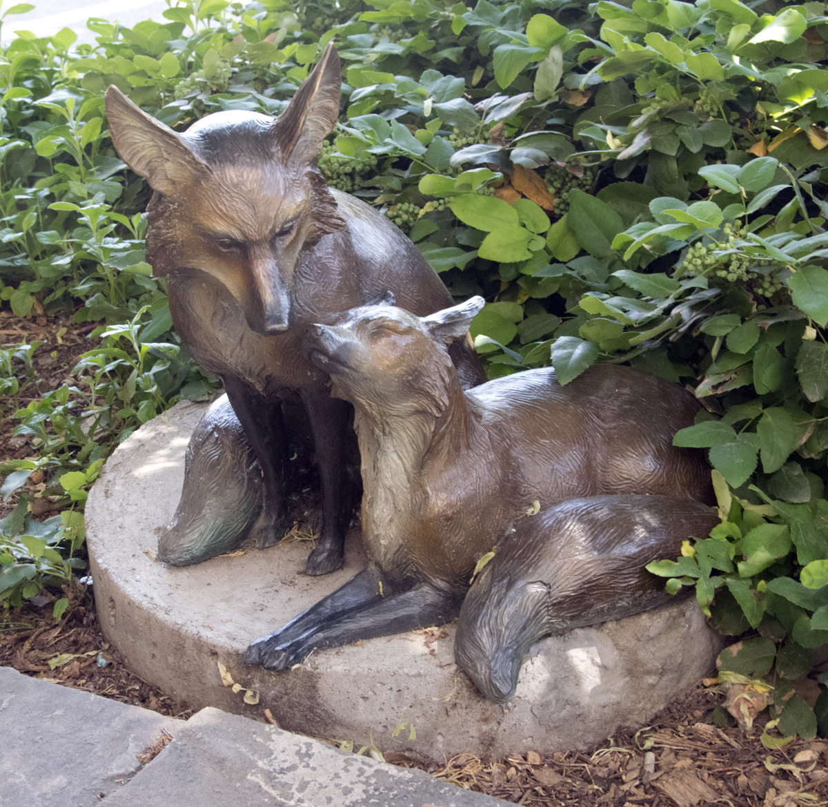 loveland fox sculpture