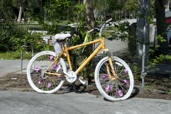Dade City Bicycle