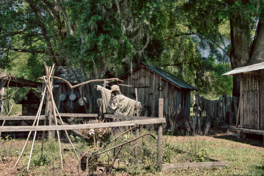 Scarecrow Florida Pioneer